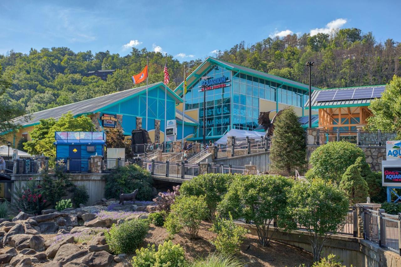 5Bd5B Escape Cabin With 2 Hottubs, Thtr &Game Rm,1Mi To The Parkway! 4Mi To Dollywood - Spring Deal Pigeon Forge Exterior foto